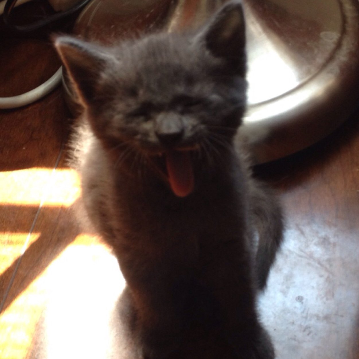 14_faithanne's profile picture. I alwayys follow back.. Check out my other account @faithjanne