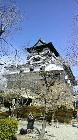 tossy0022's profile picture. 