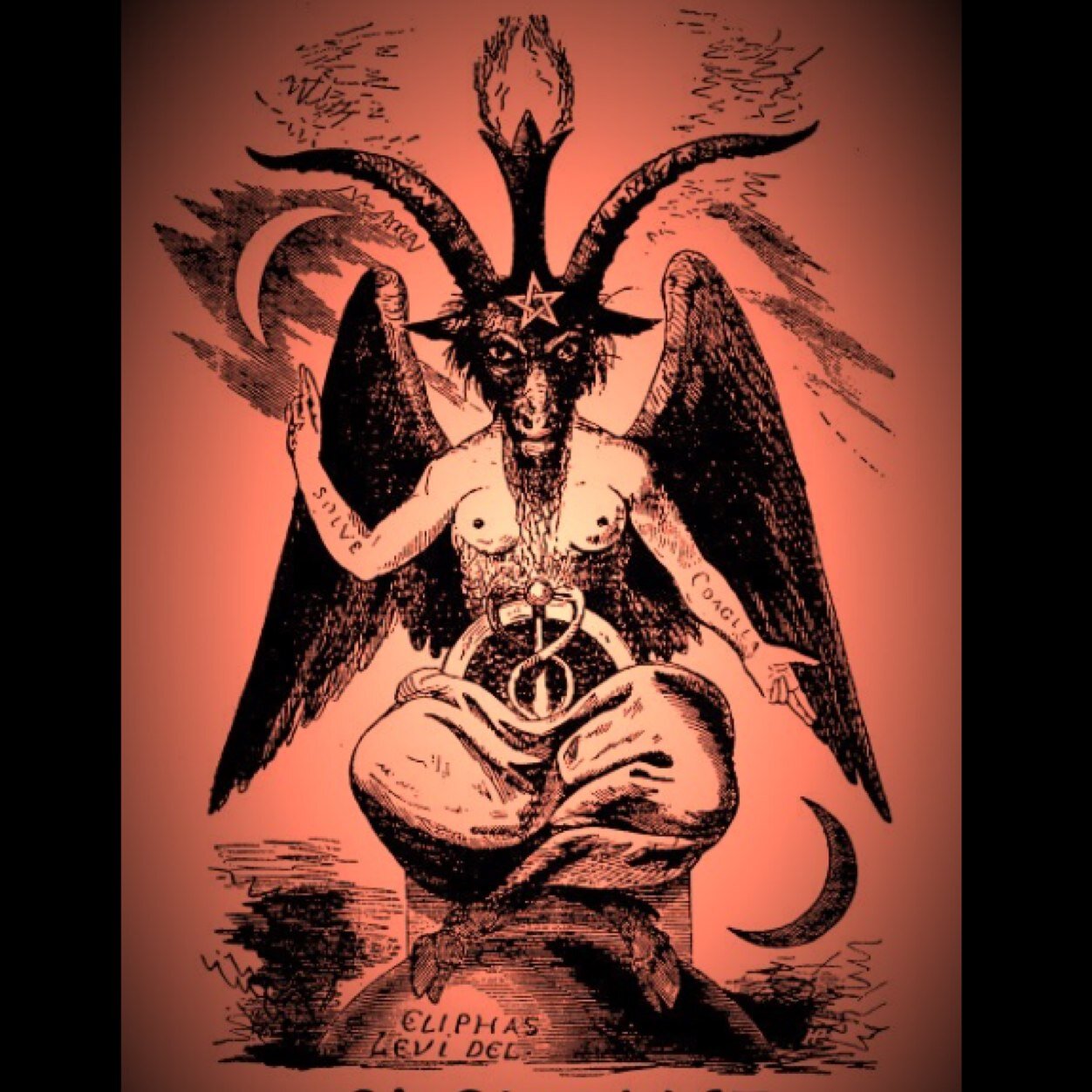 TRAPLUCIFER's profile picture. THE REAL GOD #NoDonationPlate #DrugsRUs #Indigo #BootyGang