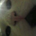 Devon Torres - @thelegs99 - Twitter