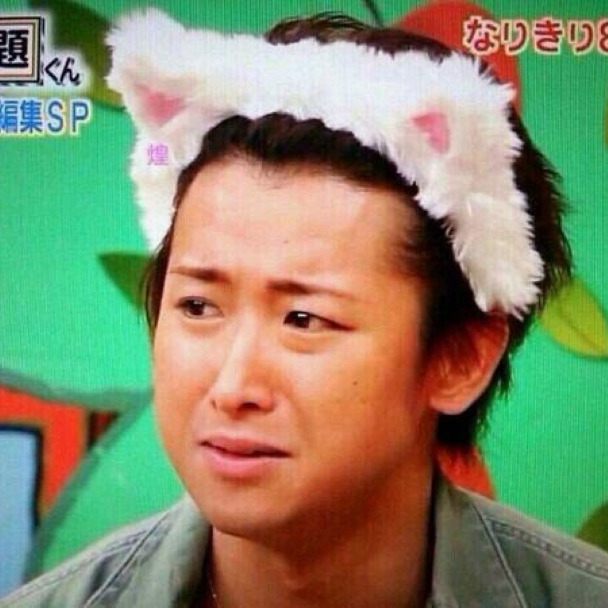 本人事務所無関係。 /癒猫嵐所属/ 低浮上