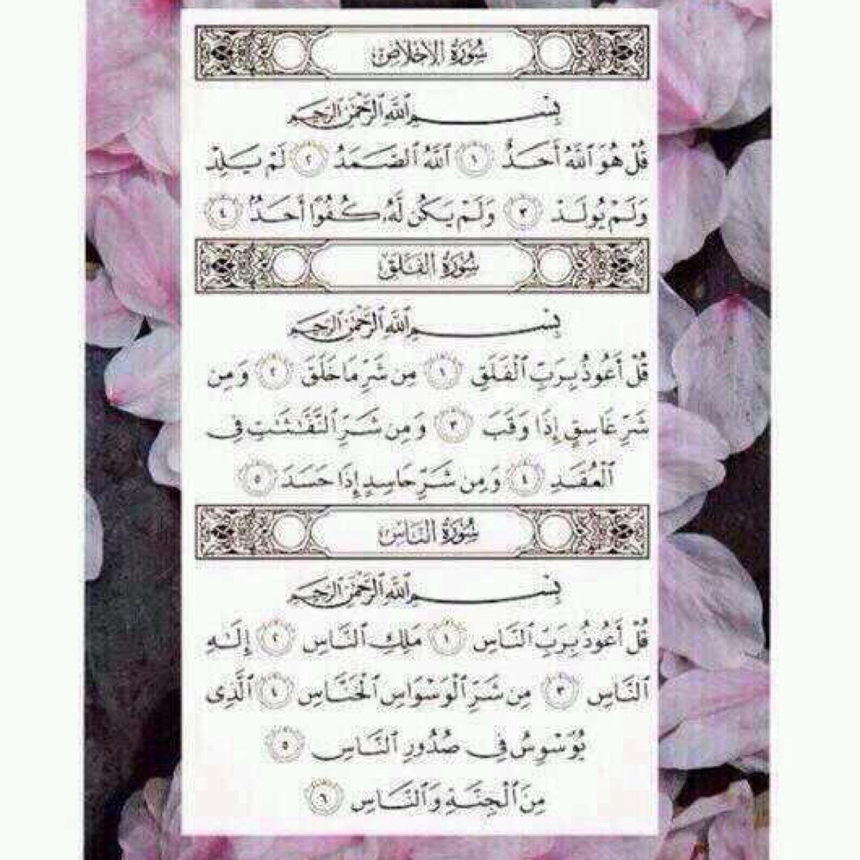 المفضلة صدقة لمنتهى ( منتايول ) ❤️.
@remnto_fi