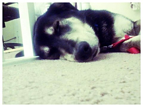 Maxine_loves_u's profile picture. 