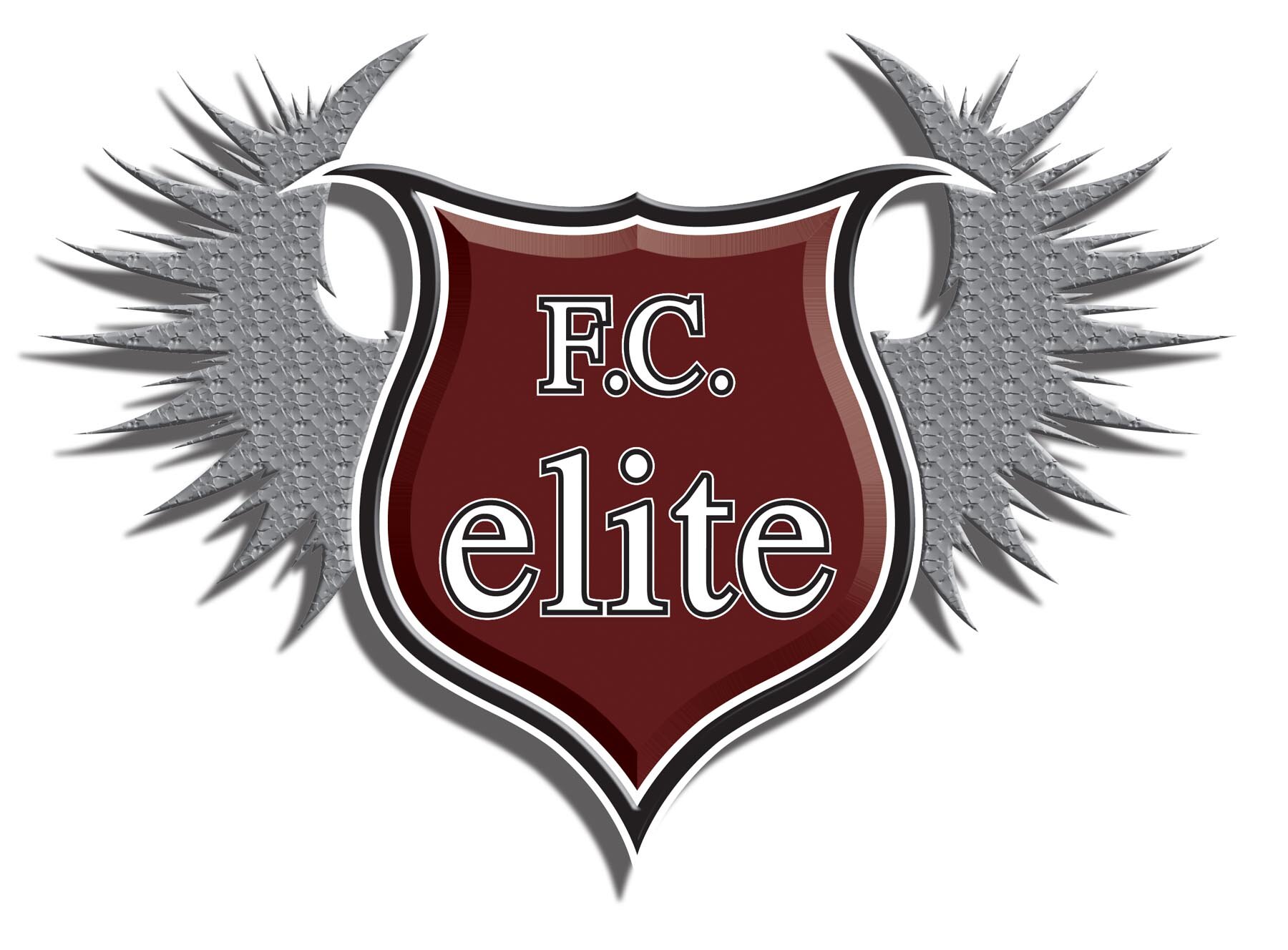 Competitive Youth Soccer Program For Youth For All Of Southwest Michigan 🐉