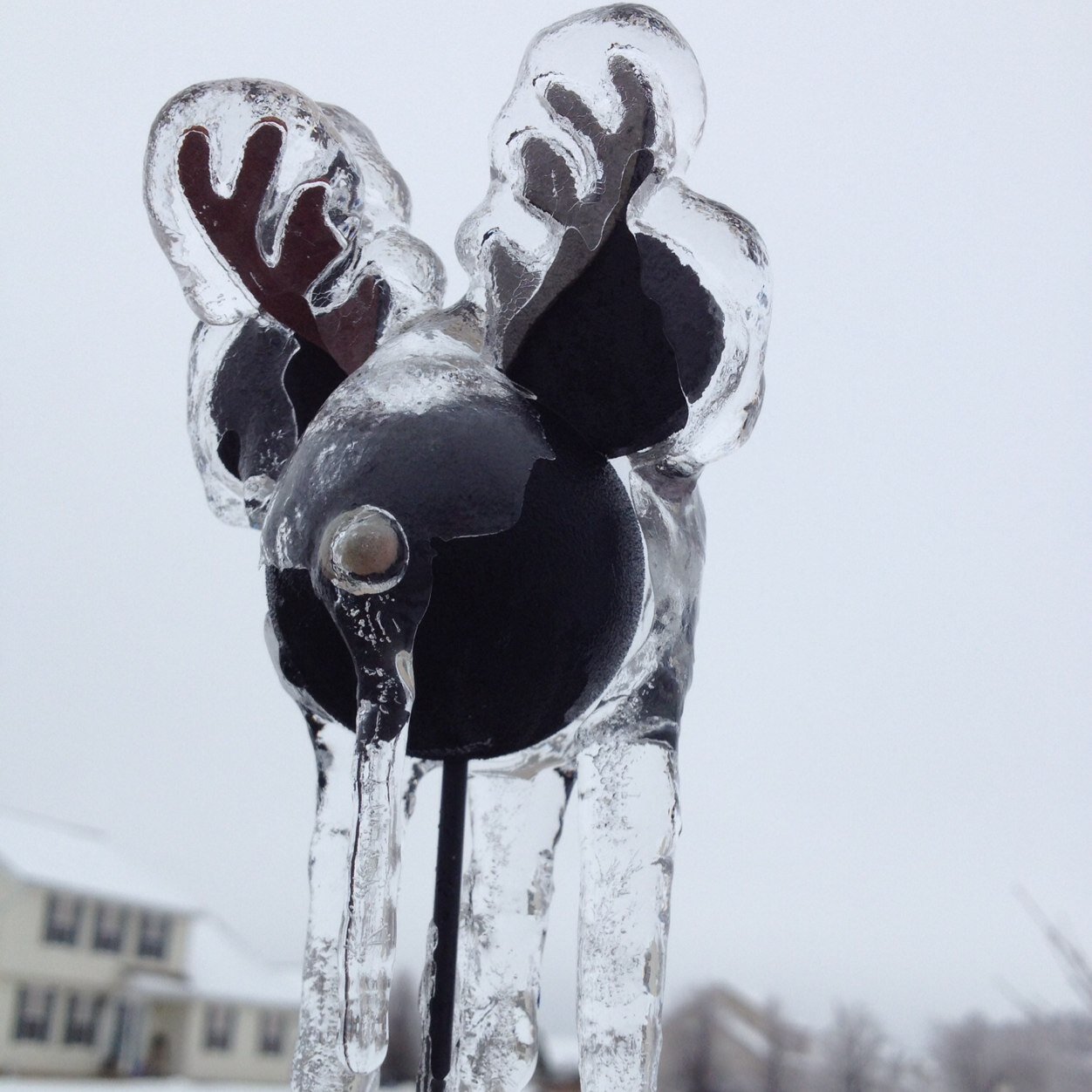 swiftli's profile picture. 