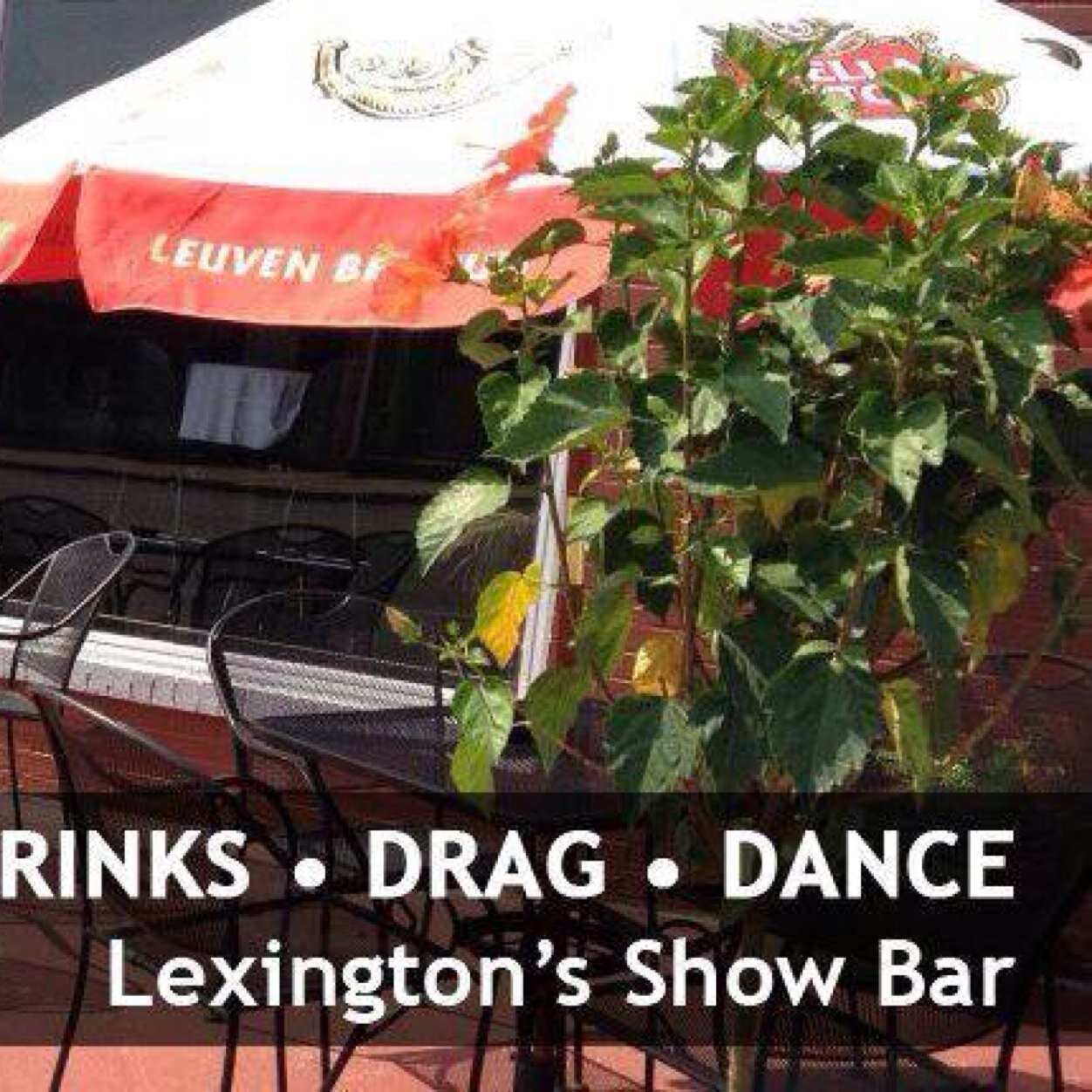 pulse_lex's profile picture. 