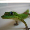 Jana Dow - @jstbreathng - Twitter