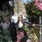 Montsesa36's profile image