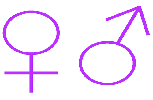 upadult's profile picture. 