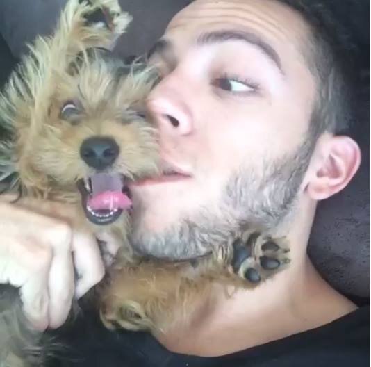 Mundo dos Vines,Procuramos o Melhor pra Você