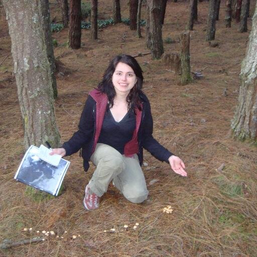 Sara_MenUr's profile picture. Persona