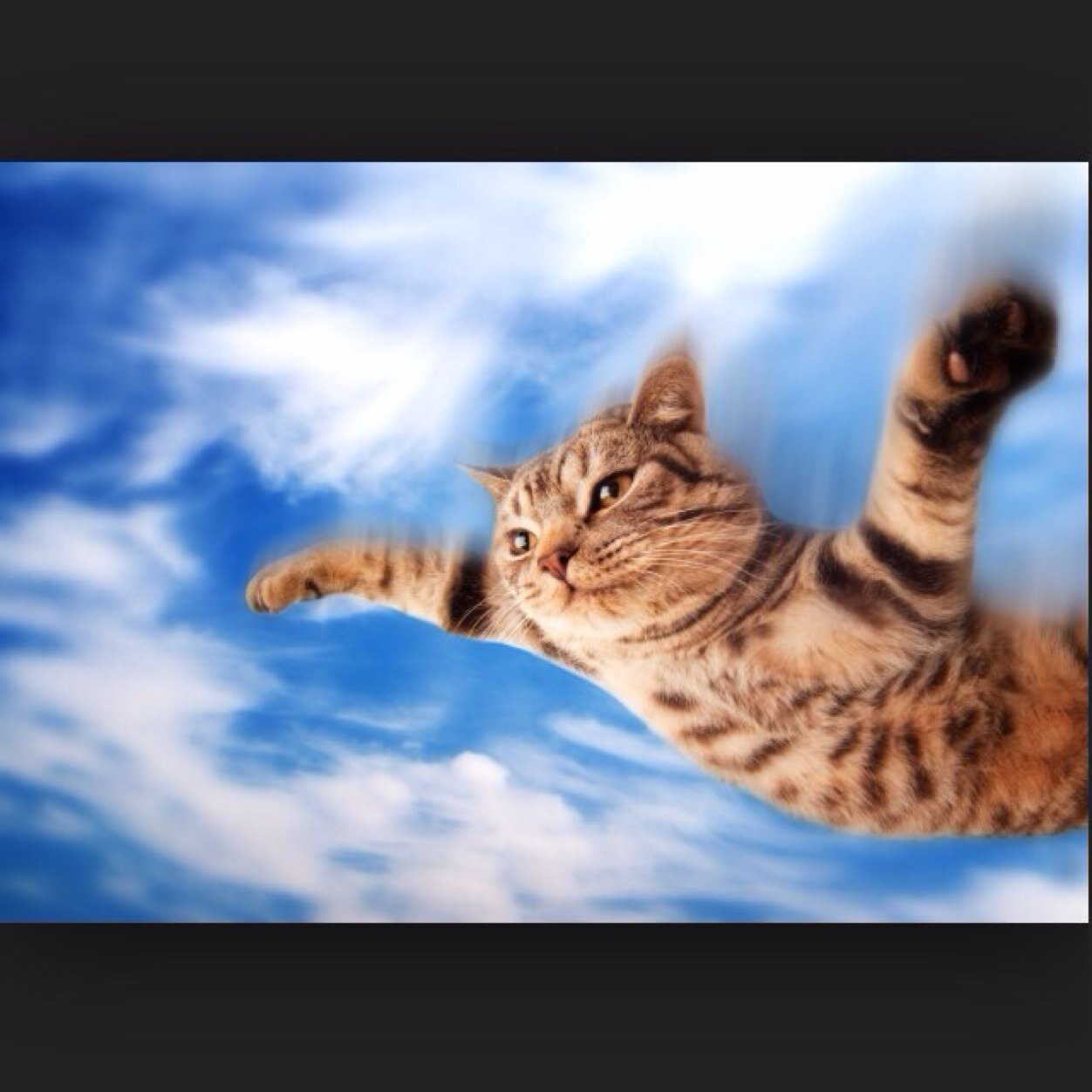 Trippin through space cause imma space cat