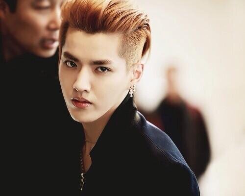 @DdayRoleplayer | EXO-M's Dragon lol | my kacang soya yg comel @Dday_soyou | hayoung's beloved brother |