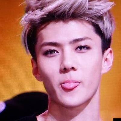 #Sehun's Wife
EXOstan/EXOtic
Girl who admire EXO 
#yehet #ohorat #kkaebsong #not my style # baozi #panda