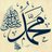 NasehatRosul's profile image
