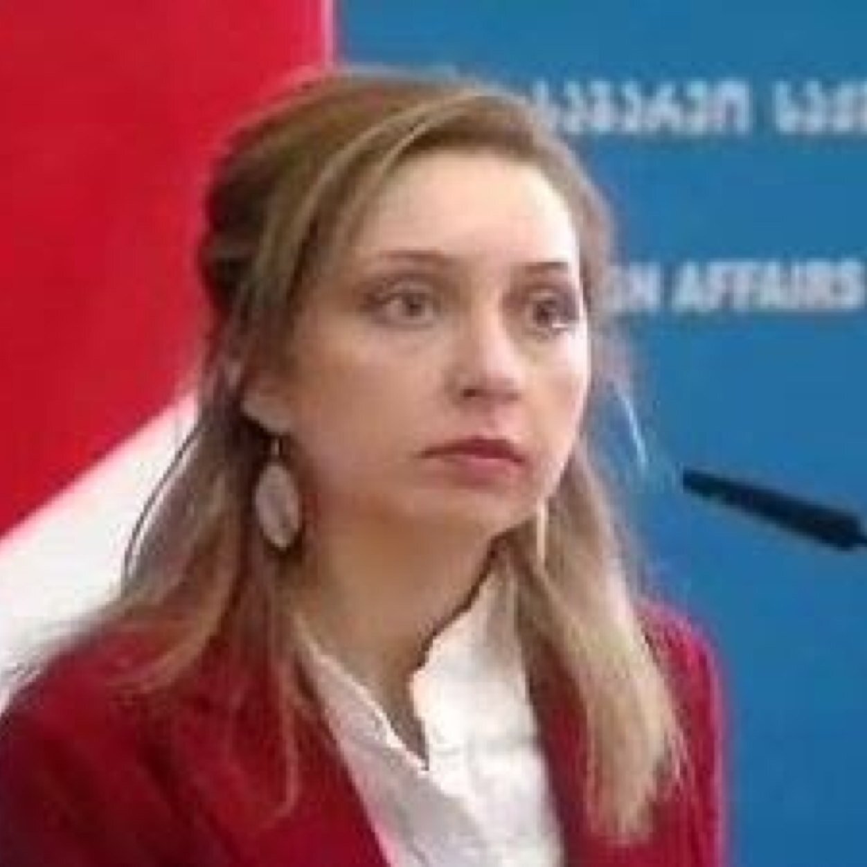 NINOKalandadze5's profile picture. Co-Founder & Executive Director @ The  Chavchavadze Center for European Studies and Civic Education. Former Vice Minister of Foreign Affairs of Geo. Former MP.