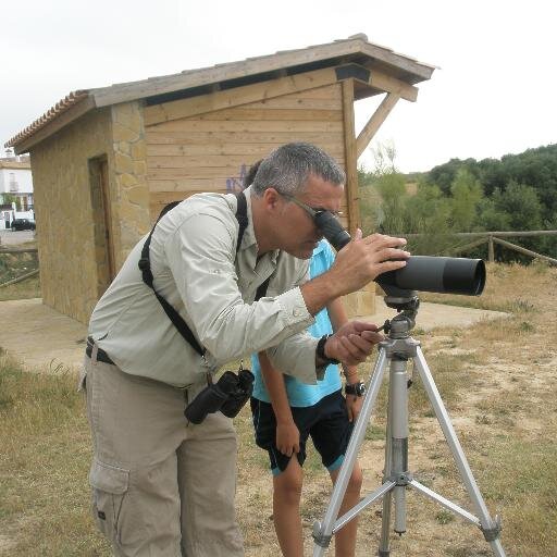 Rutas de Ornitologia y Ecoturismo del sur de Andalucía