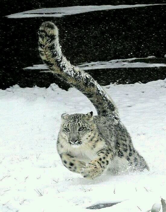 fadori57's profile picture. 