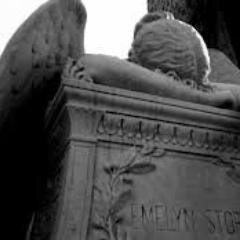 cristriva's profile picture. 