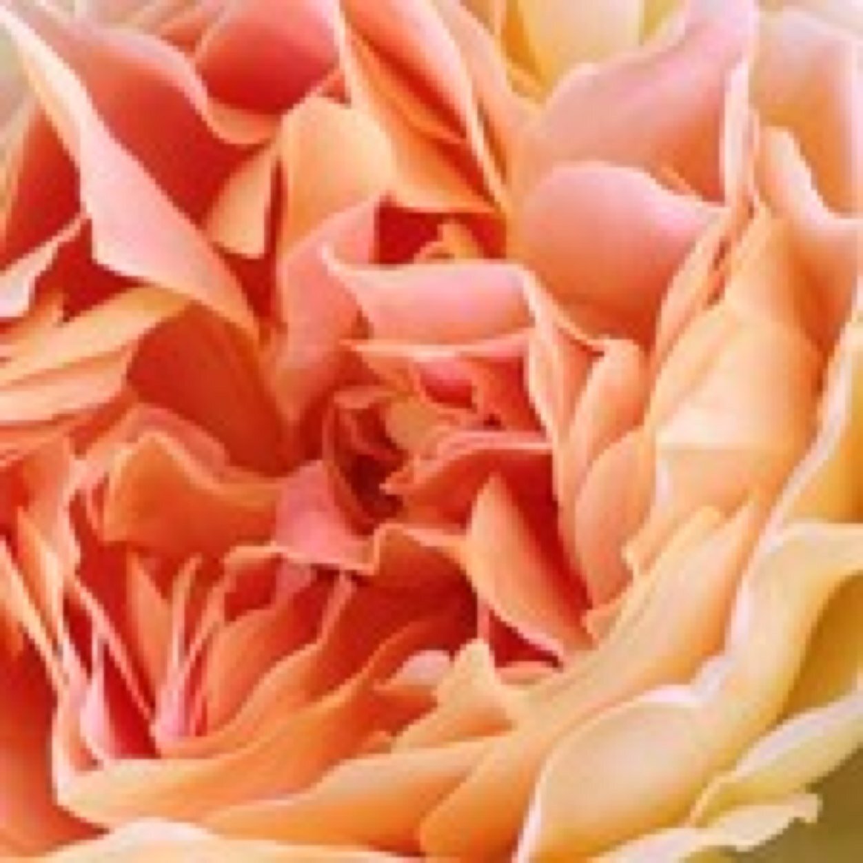 xchipyx's profile picture. Half of team Mono Duo, graphic designer and freelance illustrator. See @anna_moretti for my work-related tweets