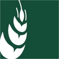 AVEPA (@avepa_social) 's Twitter Profile