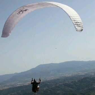 parrapendio's profile picture. 