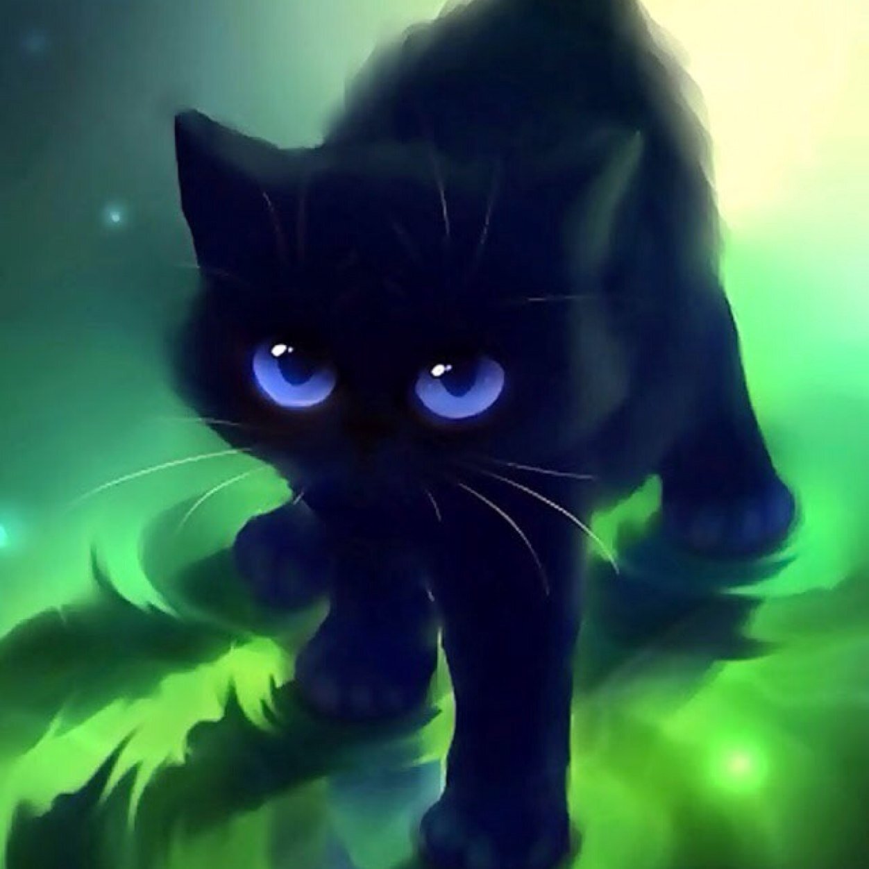 KittyKat0507's profile picture. 