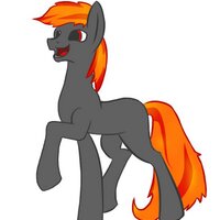 Ember Dash (@emberdash) 's Twitter Profile