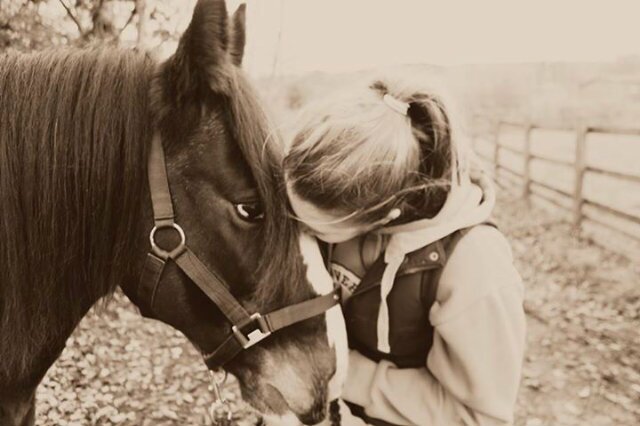 Here supporting cobs. Love my horse more than anything. A cob should have the head of a beautiful lady and the back end of a cook!