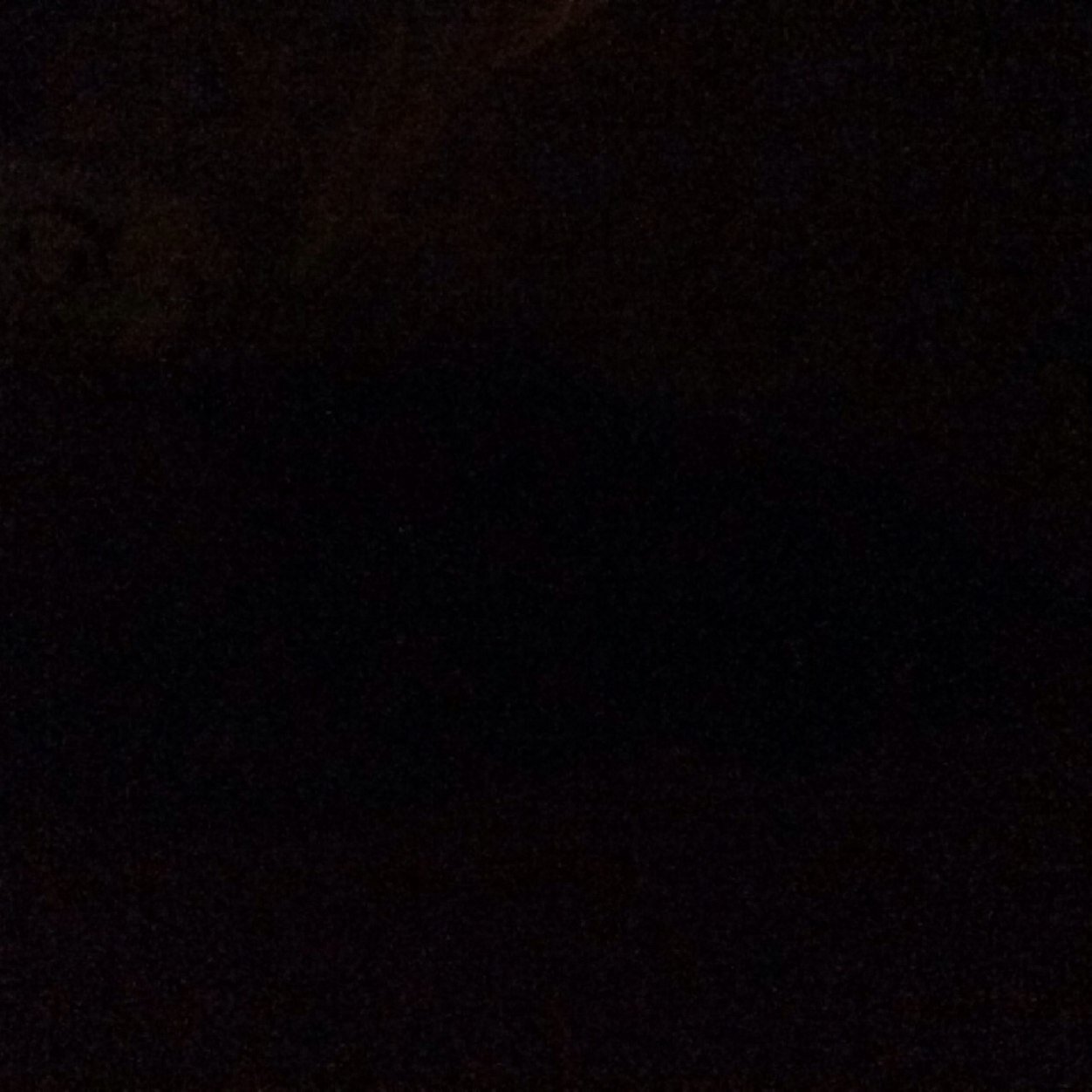 yayooyamaz's profile picture. 