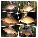 Mark Abrams - @Rambobrams - Twitter