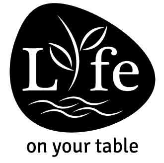 Welcome to the official page of LIFE on your table. Here you can find everything you want to know about LIFE, as an art piece and as a miniature garden.