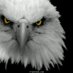 د. خالد البراهيم (@khalidmalbrahim) Twitter profile photo
