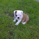 lorraine black - @blacklach - Twitter