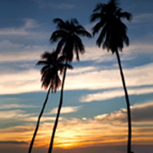 ab_1979's profile picture. 