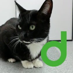 datnny designさんのプロフィール画像