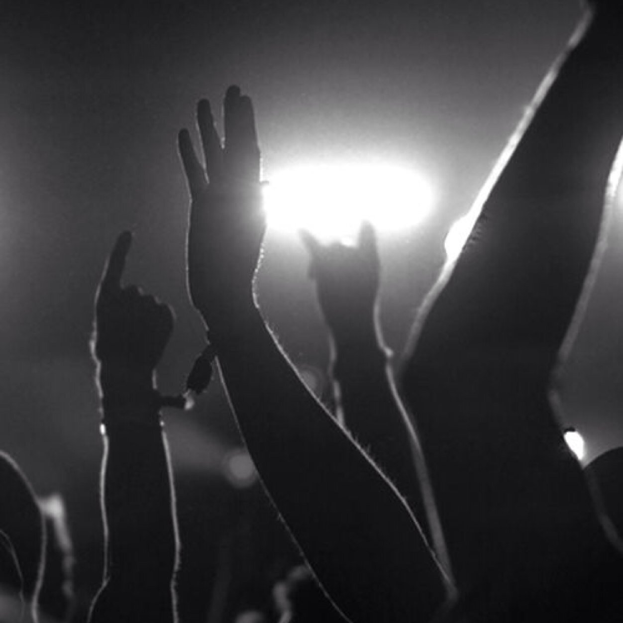 trickster1315's profile picture. 