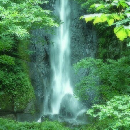 こんにちは！
