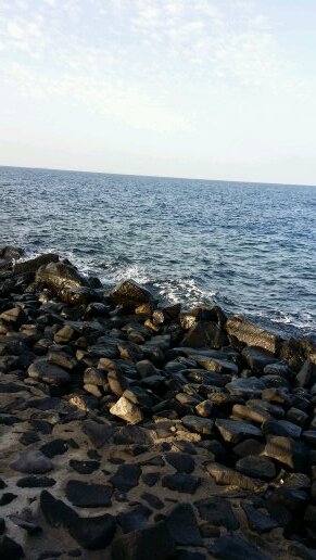 طااالب