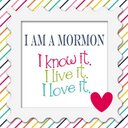 Robin Bauer - @robinbauer55 - Twitter