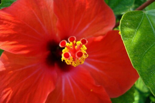 Ineke_ekenI's profile picture. ....