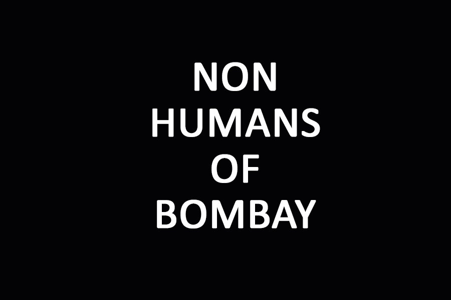 Everything but humans of Bombay, one story at a time.