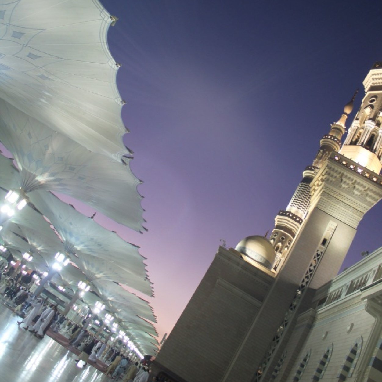 « أمَا ترَى البحرَ تَعلُوا فوقَهُ جِيَفُ * وتَستَقِرُّ بِـ أقصَى قَاعِهِ الدُّرَرُ »

@ESR_5