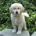 Sean Emery - @sbemery - Twitter