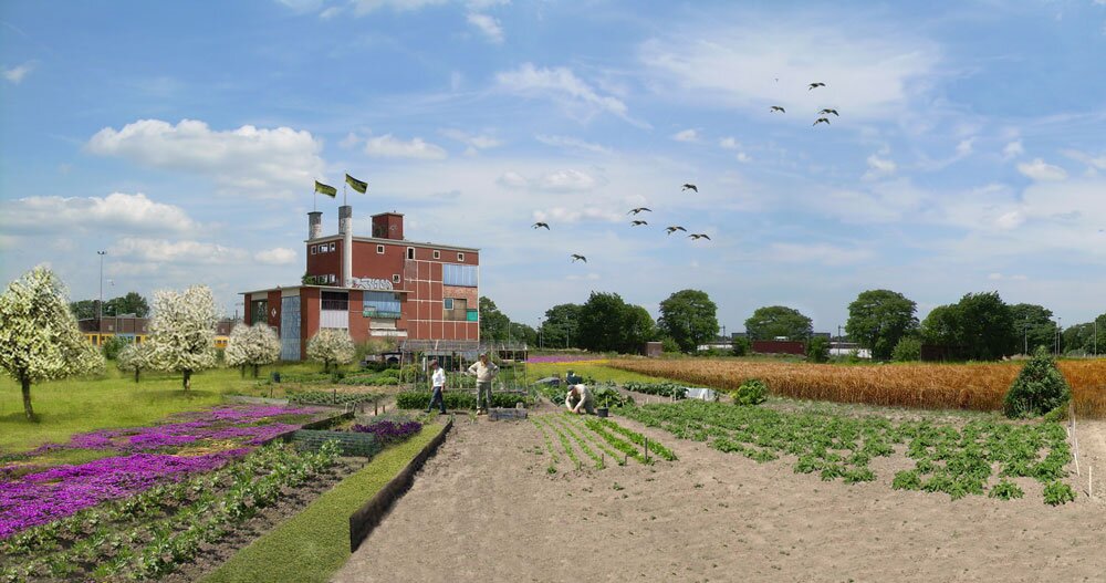 BrouwerijHglo's profile picture. Brouwerijterrein; Van braakliggend naar smaakmakend! In samenwerking met Ter Steege, gemeente Hengelo, Wij-landen en buurtbewoners.