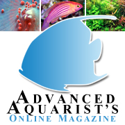 A monthly online magazine dedicated to the advanced marine aquarist.