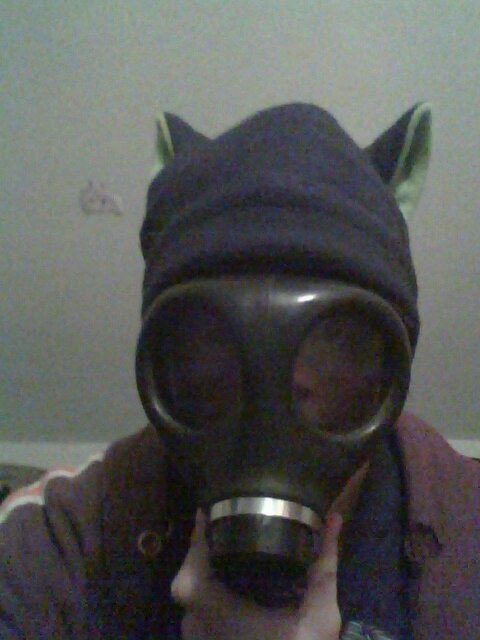 Santi_miller's profile picture. I'm Santi. I am a sentient ball of pain, hatred, nicotein, and caffein. I'm an author, drummer, artist, and poet. Deal with it.