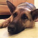 Bill Brower - @brower_bill - Twitter