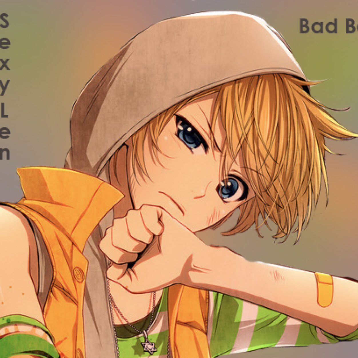 Yo...My name is Kagamine Len~ I am a proud vocaloid singer~ I'm in love with my nee-chan @SNK_Mikasa #BananaLover #Twincest #MaleSinger