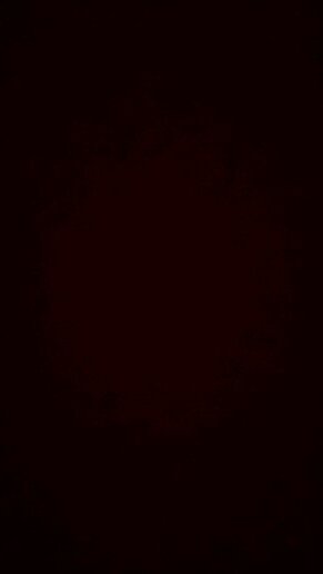 celinakeinplan's profile picture. 